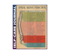 KCDFDVJFBM SPINAL NERVE FUNCTION POSTER Anatomical Nerve Pathways Chart Visual Guide for Chiropractic Care Office Clinic Hospital Home Decor(Framed,16x24inch(40x60cm))