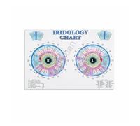 KCDFDVJFBM The Human Iris Chart: Guide to Iridology Zones - Canvas Art Print for Holistic Health Study, Classroom, Curiosity Decor(Framed,08x12inch(20x30cm))