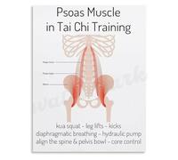 KCDFDVJFBM The Psoas Muscle in Tai Chi Poster Anatomy and Movement Canvas Wall-Art Educational Print for Yoga Studio or Home Dojo(Unframed,08x12inch(20x30cm))
