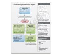 KCDFDVJFBM Training Poster Cardiac Arrest in Pregnancy Algorithm Chart Canvas Wall-Art for Hospital Labor Delivery Ward Decor(Framed,08x12inch(20x30cm))