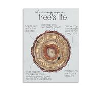 KCDFDVJFBM Tree Life Cycle Poster Educational Nature Growth Stages Canvas Wall-Art For Living Room Bedroom Classroom Decor(Unframed,16x24inch(40x60cm))