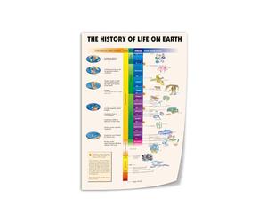 KCDFDVJFBM Vintage History of Life on Earth, Evolution Timeline Wall-Art Print, Educational Science Decor for Classroom, Living Room, Office(Unframed,16x24inch(40x60cm))