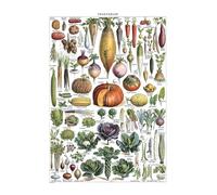 KCDFDVJFBM Vintage Vegetable Identification Poster: Retro Botanical Chart with Common Garden Veggies, Educational Kitchen Wall-Art for Kitchen & Living Room Decor(Framed,08x12inch(20x30cm))