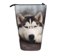 KCGSDEGV Trousse à crayons extensible avec motif chien Husky pour l'école, le maquillage et les voyages pour étudiants et artistes, Noir , Taille unique, Cartable