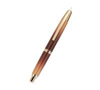 KDEGK Lot de 10 stylos plume rétractables à pointe EF/F en métal avec clip pour écriture - Fournitures scolaires - Papeterie A1 A2 (chocolat, F)