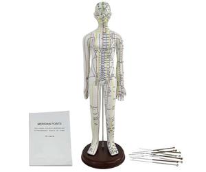 KDJFS 1/3 Mannequin Acupuncture, 52cm Modèle d'enseignement de Acupuncture vec Instructions de Localisation du Point D'acupuncture Utilisé pour la Pratique de L'insertion D'aiguilles
