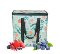 kdkskss Sacs Isothermes | Sangle de Transport Élargie - Sac Isotherme Renforcé | Tissu Non Tissé Poignée Renforcée Grand Volume pour Courses Quotidiennes Fruits Goûter Pique-Nique