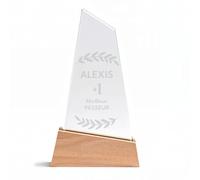 KDO MAGIC - Trophée Personnalisable - Coffret Cadeau Inclus - Trophée Verre personnalisé - Texte, prénom ou Date gravé - Triangle Bois - Anniversaire, récompense, Thème Top 1