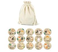 Kdouehg 15 Pièces de Belles Cartes Mensuelles pour - Disques de Cercles en Bois Double Face avec Signe de Naissance pour Fille et Garçon Durables
