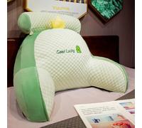 KDTRKH Coussin de lecture confortable avec dossier amovible pour chaise multifonction - Soutien du dos pour se détendre en regardant la télévision - Dinosaure - 60 x 45 x 20 cm