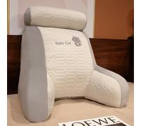 KDTRKH Coussin de lecture pour lit - Coussin confortable - Dossier amovible - Fauteuil doux - Multifonctionnel - Soutien du dos pour se détendre en regardant la télévision, chat - 60 x 50 cm