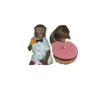 keadiseu 100 pièces Autocollants mème Singe Fou, décalcomanies d'animaux de Dessin animé drôle Dingo pour Ordinateur Portable Bouteille d'eau téléphone étui Journal, décor créatif Bricolage
