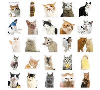 keadiseu Lot de 100 Autocollants de Chat Mignon, Pack d'expressions drôles et réalistes, Stickers décoratifs pour Bouteilles d'eau, journaux, planificateurs, Ordinateurs Portables et Papeterie
