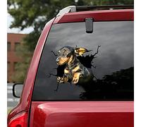 KedAiKJ Autocollant 3D en PVC avec teckel et chien cassé pour fenêtre de voiture, imperméable, drôle pour WC, réfrigérateur (25,4 x 25,4 cm)