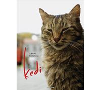 Kedi