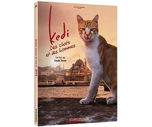 Kedi - Des chats et des hommes / Kedi