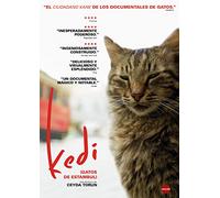 Kedi (KEDI, GATOS DE ESTAMBUL, Importé d'Espagne, langues sur les détails)