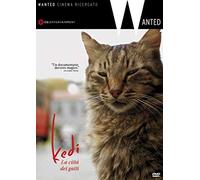 Kedi – La Citta' Dei Gatti – DVD – Documentaire (1 DVD)
