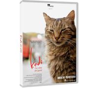 Kedi - La Ville Des Chats DVD CG
