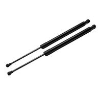 Kedoukj Lot de 2 amortisseurs à gaz pour Nissan Cefiro 2003-2008 pour Teana I (J31) - Accessoires de voiture - Noir ordinaire