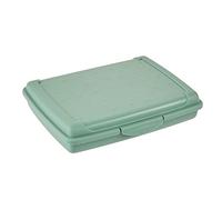 keeeper Boîte Fraîcheur avec Fermeture à Clic, 17 x 13 x 3,5 cm, 500 ml, Luca Mini, Nordic Green