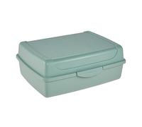keeeper Boîte Fraîcheur avec Fermeture à Clic, 17 x 13 x 7 cm, 1 l, Luca Midi, Nordic Green