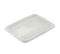 keeeper Couvercle pour Boîte de Rangement Emil, 30 l, 45,5 x 35,5 cm, Emilia, Transparent