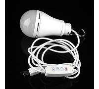 Keenso Ampoule LED USB 6W avec Crochet pour Camping en Plein Air et Randonnée, Lampe de Secours Portable à économie D'énergie (10W)