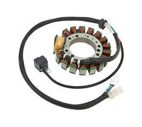Keenso Bobine de Stator de Moto, 3HN 85510 10 00 Bobine de Stator Cuivre Remplacement à Faible Perte Magnétique pour Warrior 350 YFM350