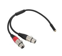 Keenso Câble Répartiteur en Y Premium 1/8 vers Double XLR Femelle pour une Transmission Optimale du Signal, Convertisseur de Microphone 3,5 Mm vers 2 XLR Femelle pour Décodeur Sonore, PVC Noir