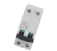 Keenso Disjoncteur Miniature 250V 2 Pôles 32A (32A) | Protection efficace contre les surcharges, Utilisation fiable du système solaire, Installation pratique sur rail DIN
