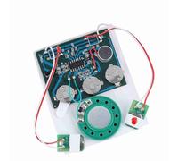 Keenso Module de Puce D'enregistrement 27S pour Créer des Boîtes-Cadeaux Uniques - Contrôle des Clés, Contrôle Photosensible (Version du câble prolongé)