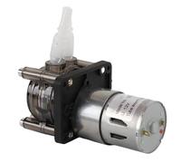 Keenso Pompe Péristaltique Industrielle, Conception Fiable de Moteur à Courant Continu pour le Dosage de Liquides dans les Laboratoires D'aquariums 300 Ml/min (12V)