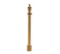 Keenso Rallonge de Valve de Pneu en Laiton 140 mm pour Moto, vélo, Tondeuse et Scooter (100 mm)