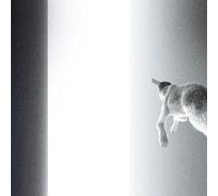 Keep Looking Where The Light Comes from