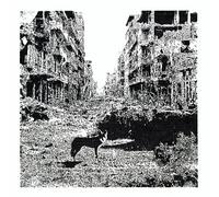 Keep On Falling CD
