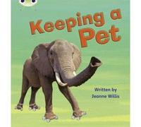 Keeping a Pet: Non-Fiction Set 13 (Phonics Bug) - [Version Originale] Inconnu (Auteur)