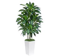 Keeplush Dracaena artificiel de 1,5 m - Feuillage haute densité avec pot de fleurs blanc - Plante de sol imitation yucca pour décoration de maison, bureau et intérieur