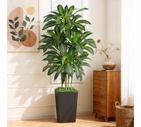 Keeplush Dracaena Plante Artificielle de 150cm,Con Pot Noir,Fausse Plante Grande Décoratives IntérieureTropicales Ultra Réalistes,pour la Décoration Intérieure, Le Balcon, la Chambre à Coucher