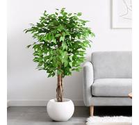 Keeplush Plantes Artificielles Ficus 150cm Haute avec Tronc en Bois Naturel, Arbre Artificiel avec 756 Feuilles, Artificielle Interieur pour Salon, Chambre Décoration