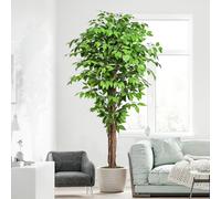 Keeplush Plantes Artificielles Ficus 180cm Haute avec Tronc en Bois Naturel, Arbre Artificiel avec 1300 Feuilles, Artificielle Interieur pour Salon, Chambre Décoration