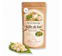 Kéfir de lait maison grains vivants pour boisson fermentée naturelle (10g) | Grains actifs,réutilisable à vie, idéal pour débuter, notice incluse