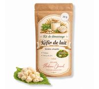 Kéfir de lait maison grains vivants pour boisson fermentée naturelle (20g) | Grains actifs,réutilisable à vie, idéal pour débuter, notice incluse