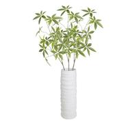 KEFSR Arbre D’Argent 3pcs, Plante D’Arbre D’Argent Feng Shui Pachira Aquatica, Plantes Altman, Plante D’Arbre D’Argent, Cadeau de Plante de Maison Facile à Cultiver, Décoration Intérieure