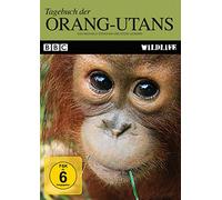 Keine Informationen - BBC Wildlife: Tagebuch der Orang-Utans (Teil 1)