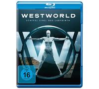 Westworld - Die komplette 1. Staffel [Blu-ray] (Blu-ray) Wood Evan Rachel Newton