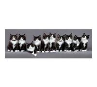 Keith Kimberlin - Chat - 53x158 cm - AFFICHE / POSTER G