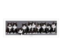 Keith Kimberlin - Chats - 30,5x91,5 cm - AFFICHE / POSTER G