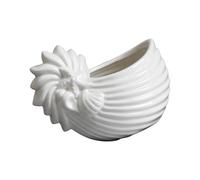 Kelisdi Support en forme de conque en céramique pour décoration d'intérieur, pots de plantes grasses sur le thème marin, pot miniature décoratif en céramique, pot de fleurs côtières