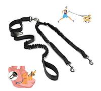 Kelivi Laisse double pour chien, laisse à double extrémité, sans enchevêtrement, ceinture de sécurité pour animal domestique, laisse pour promener la voiture et voyager